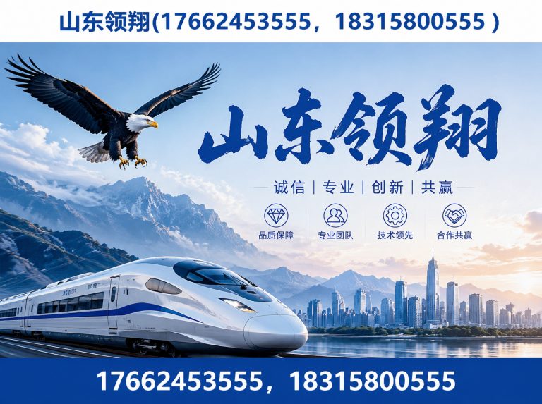 黑河山东领翔展示图